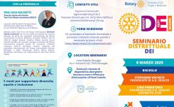Seminario Distrettuale – “DEI”